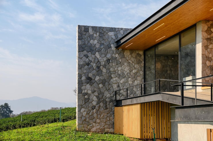 modern-luxury-building-with-wood-rock-plantation_49071-8894